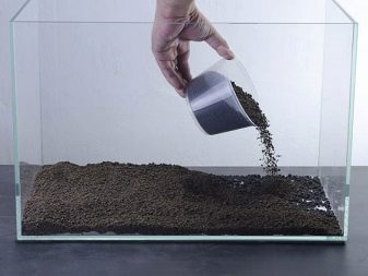 Чому при запуску акваріума помутніла вода? 26 фото Що робити, якщо на другий день після запуску вода стала каламутна? Причини появи білої каламуті
