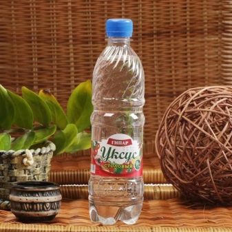 Чорні водорості в акваріумі (24 фото): чому рослини і камені вкрилися чорним нальотом і як з ним боротися?