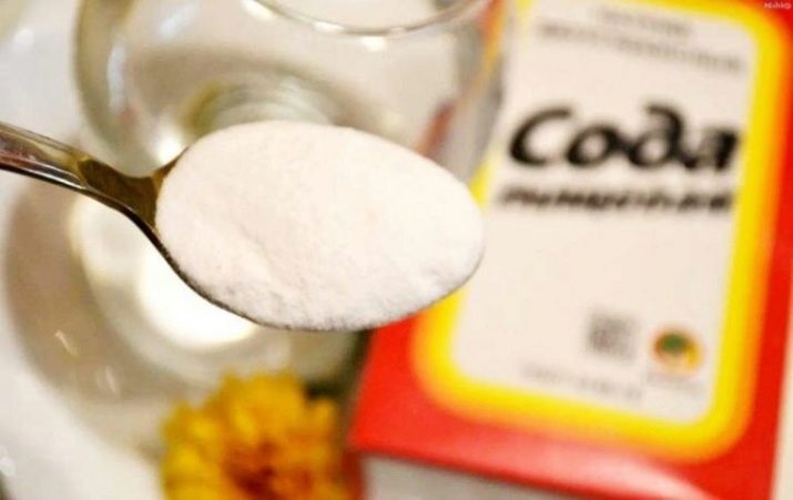 Чорні водорості в акваріумі (24 фото): чому рослини і камені вкрилися чорним нальотом і як з ним боротися?
