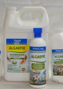 Чорні водорості в акваріумі (24 фото): чому рослини і камені вкрилися чорним нальотом і як з ним боротися?