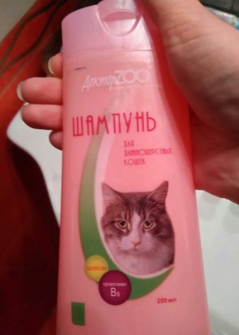 Чорний мейн-кун (26 фото): опис кошеня, великий дорослого кота чорного забарвлення і чорної кішки з зеленими очима
