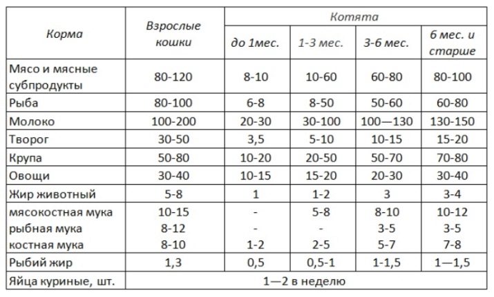 Чорний мейн-кун (26 фото): опис кошеня, великий дорослого кота чорного забарвлення і чорної кішки з зеленими очима