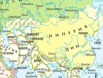Чорний шарпей (23 фото): опис цуценят чорного забарвлення, характер дорослої собаки чорного кольору