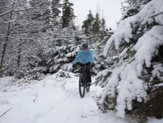Чорногорія взимку (57 фото): погода в Тіваті, Будві та інших містах в грудні і січні. Які пам’ятки можна подивитися взимку і чим зайнятися?