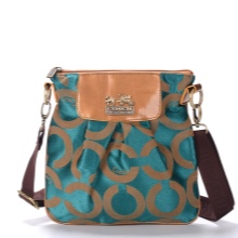 Coach сумки (64 фото): взуття, парфуми New York й інший модний парфум