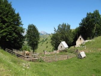 Црно-Езер (38 фото): особливості чорного озера в Чорногорії
