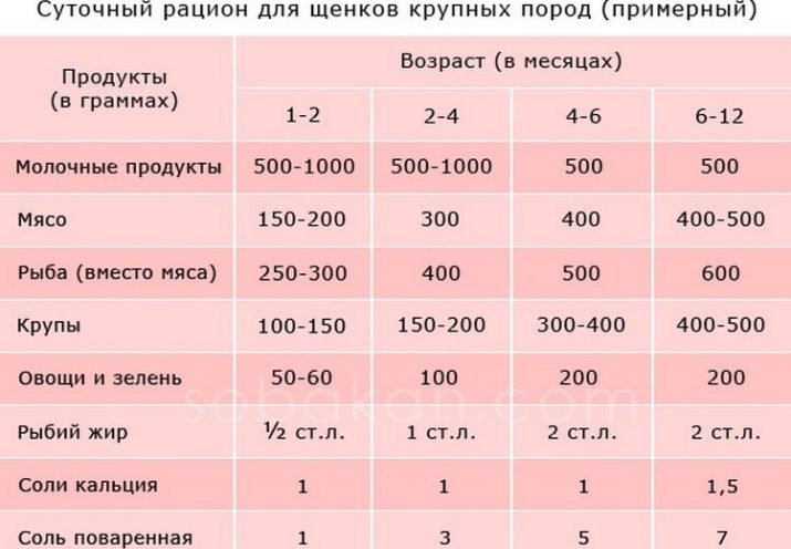 Цуценята алабая у 2 місяці (22 фото): чим їх годувати і скільки вони повинні важити? Як виховувати цуценят?