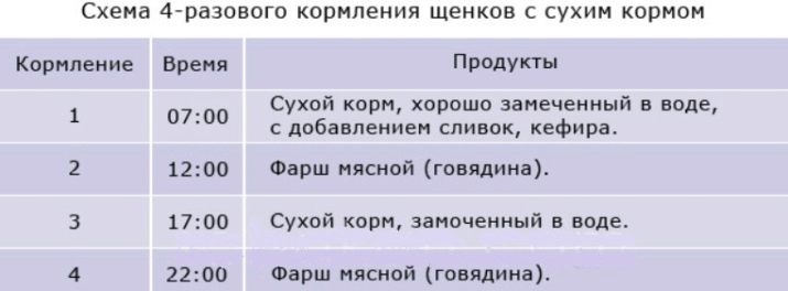 Цуценята алабая у 2 місяці (22 фото): чим їх годувати і скільки вони повинні важити? Як виховувати цуценят?