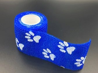 Цуценята лабрадора віком 1 місяць (32 фото): як виглядає і як годувати місячне цуценя лабрадора-ретривера в домашніх умовах? Скільки повинен важити?