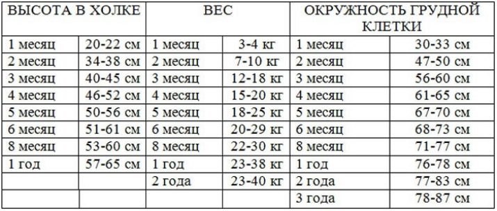 Цуценята німецької вівчарки 3 місяці (26 фото): особливості годівлі. Як виглядає щеня і скільки він повинен важити?