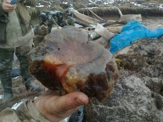 Де видобувають бурштин? Великі родовища в Росії і світі, особливості видобутку в Калінінградській області