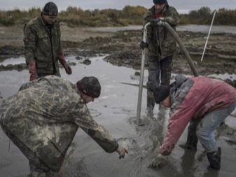 Де видобувають бурштин? Великі родовища в Росії і світі, особливості видобутку в Калінінградській області