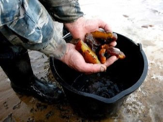 Де видобувають бурштин? Великі родовища в Росії і світі, особливості видобутку в Калінінградській області