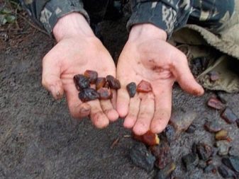Де видобувають бурштин? Великі родовища в Росії і світі, особливості видобутку в Калінінградській області