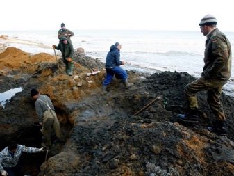 Де видобувають бурштин? Великі родовища в Росії і світі, особливості видобутку в Калінінградській області