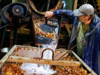 Де видобувають бурштин? Великі родовища в Росії і світі, особливості видобутку в Калінінградській області