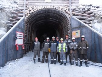 Де і як добувають срібло? Родовища видобутку в Росії і запаси в світі. Як отримують срібло на срібних рудниках?
