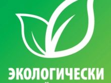 Дерев’яні стільці для кухні (64 фото): вибір кухонних стільців з дерева зі спинкою, з м’яким сидінням і підлокітниками