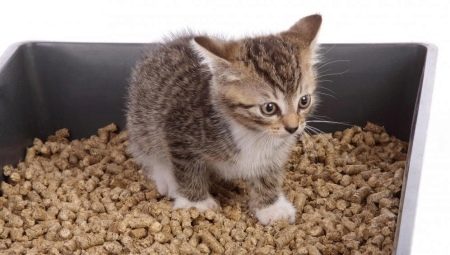 Деревне наповнювач для котячого туалету (18 фото): як користуватися і як часто міняти комкующийся наповнювач для котів? Можна змити його в унітаз? Як вибрати кращий? Відгуки