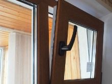 Девон-рекс (105 фото): опис і особливості характеру кошенят. Характеристика котів чорного, рудого та іншого забарвлення. Відгуки власників