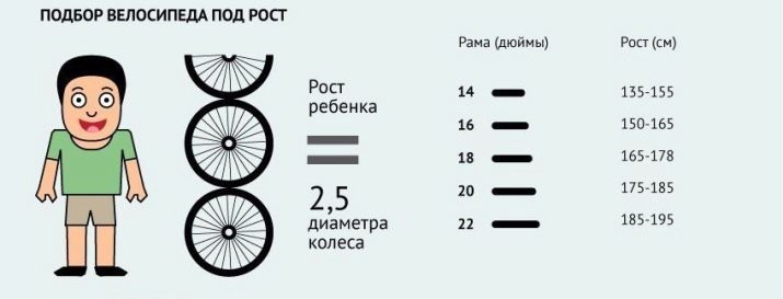 Дитячі велосипеди Merida: велосипеди 16-18 і 20 дюймів Princess і інші моделі для дівчаток і хлопчиків