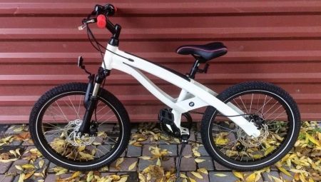 Дитячий велосипед BMW: огляд триколісних моделей Kidsbike і Junior Bike, Mini і Cruise для дітей 4 і 5, 6 і 9, 10 років