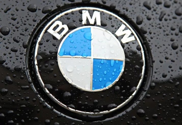 Дитячий велосипед BMW: огляд триколісних моделей Kidsbike і Junior Bike, Mini і Cruise для дітей 4 і 5, 6 і 9, 10 років