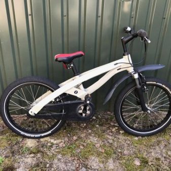 Дитячий велосипед BMW: огляд триколісних моделей Kidsbike і Junior Bike, Mini і Cruise для дітей 4 і 5, 6 і 9, 10 років