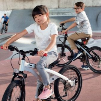 Дитячий велосипед BMW: огляд триколісних моделей Kidsbike і Junior Bike, Mini і Cruise для дітей 4 і 5, 6 і 9, 10 років