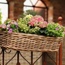 Дизайн балкона (216 фото): оформлення інтер’єру балкона в квартирі. Як облаштувати його всередині? Варіанти ексклюзивного дизайну. Ідеї простих і стильних проектів