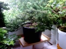Дизайн балкона (216 фото): оформлення інтер’єру балкона в квартирі. Як облаштувати його всередині? Варіанти ексклюзивного дизайну. Ідеї простих і стильних проектів