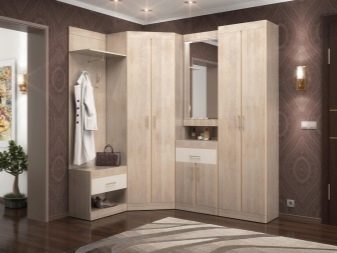 Дизайн коридору (86 фото): кращі ідеї для створення гарного інтер’єру коридору в звичайній квартирі, приклади проектів