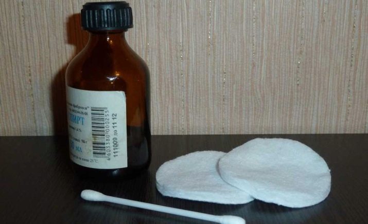 Догляд та утримання ротвейлера: що потрібно для утримання? Чим годувати цуценя в домашніх умовах? Як правильно доглядати за ним взимку?
