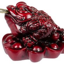 Грошова жаба (18 фото): Куди ставити по феншуй? Як правильно використовувати трехлапую жабу з монеткою в роті для залучення грошей?