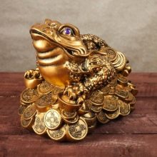 Грошова жаба (18 фото): Куди ставити по феншуй? Як правильно використовувати трехлапую жабу з монеткою в роті для залучення грошей?