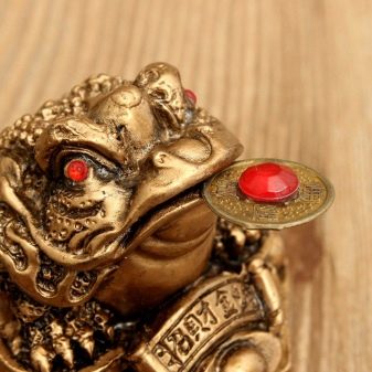 Грошова жаба (18 фото): Куди ставити по феншуй? Як правильно використовувати трехлапую жабу з монеткою в роті для залучення грошей?