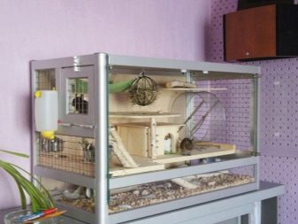Клітка для дегу (22 фото): розміри і облаштування клітини, вольєри і тераріуму для чилійської білки. Як правильно розмістити все необхідне в клітці?