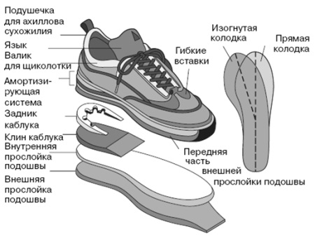 Кросівки для ходьби (57 фото): які найбільш зручні моделі, як вибрати для повсякденного носіння і для скандинавської ходьби