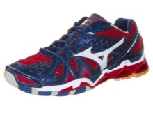 Кросівки Мізуно (47 фото): моделі Mizuno Wave, для настільного тенісу, відгуки про жіночих кросівках, таблиця розмірів