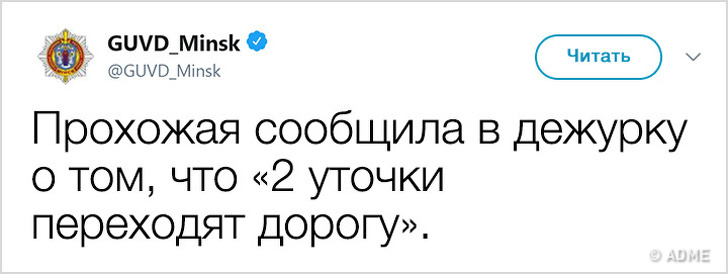 Міліція Мінська завела твіттер і тепер бореться не тільки з злочинністю, але і з поганим настроєм