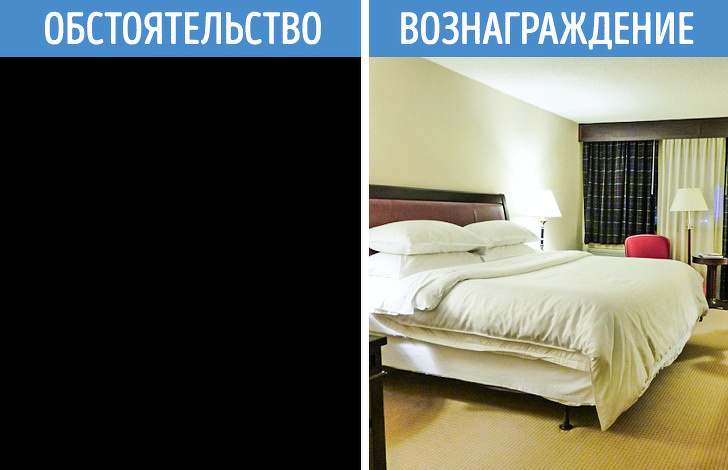 Ми дізналися, як можна легко придбати нові звички і скільки на це потрібно часу