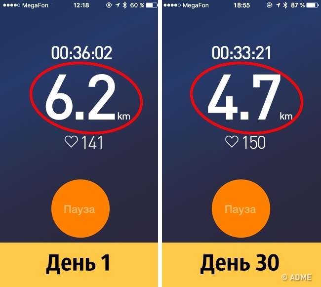 Ми перевірили, що буде, якщо часто пити пиво