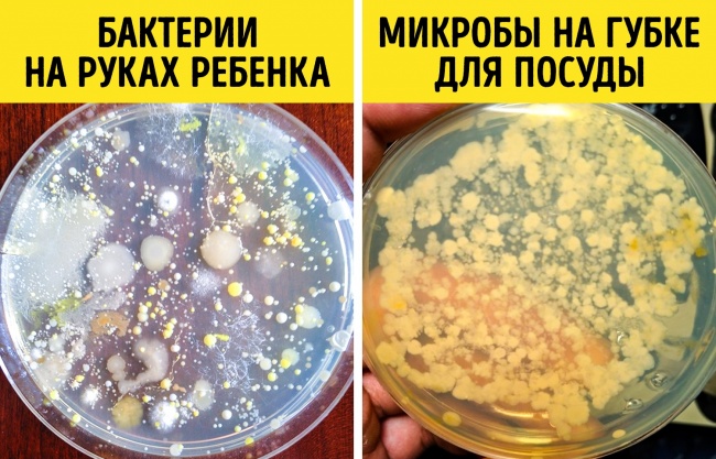 Імунологи дали 9 порад тим, кому набридло постійно хворіти