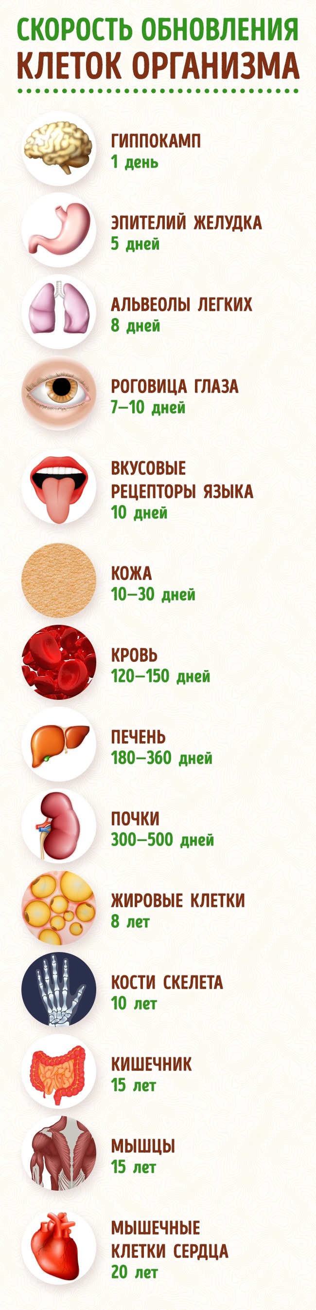 насправді ви набагато молодше, ніж думаєте