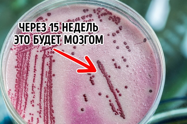 Науковці зробили 12 відкриттів, з-за яких нам стало якось не по собі