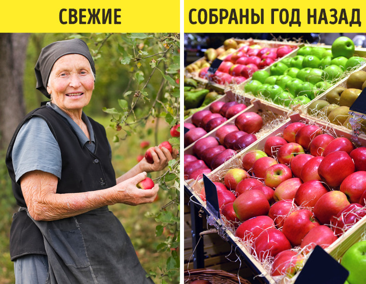 Незвичайні факти про цьому світі, яких не знайти в енциклопедіях