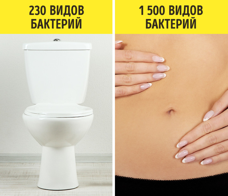 Незвичайні факти про цьому світі, яких не знайти в енциклопедіях