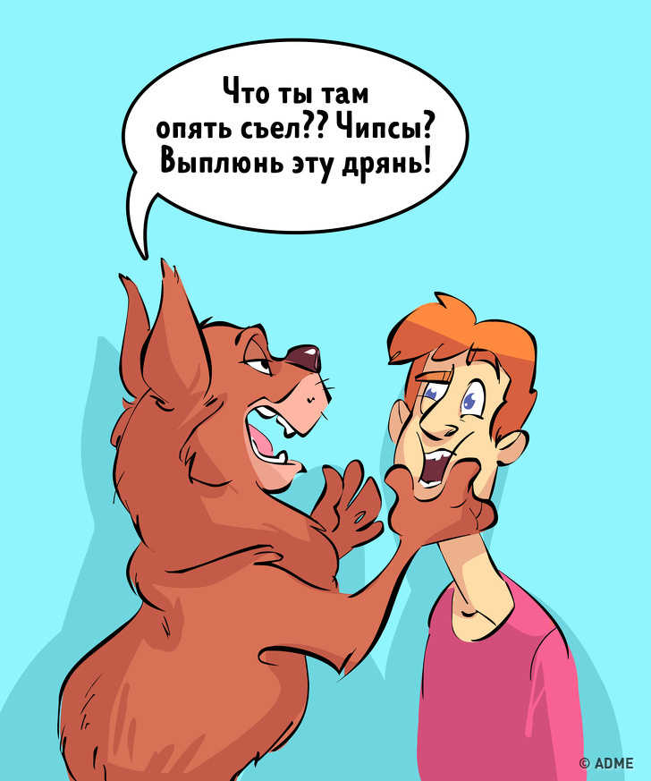 Один день з життя людей і тварин, якщо вони раптом поміняються місцями