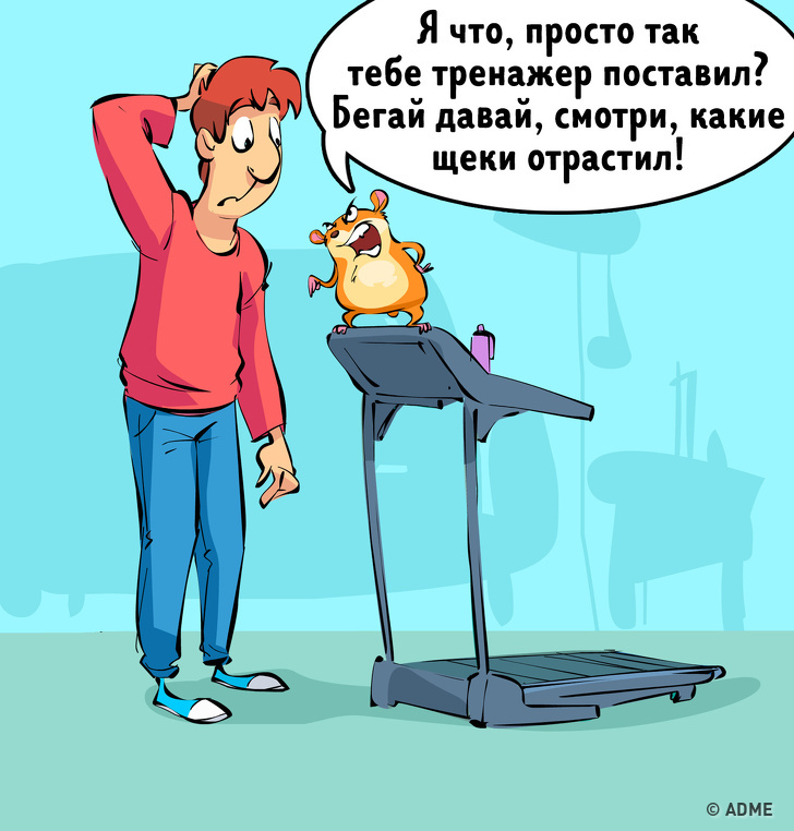 Один день з життя людей і тварин, якщо вони раптом поміняються місцями