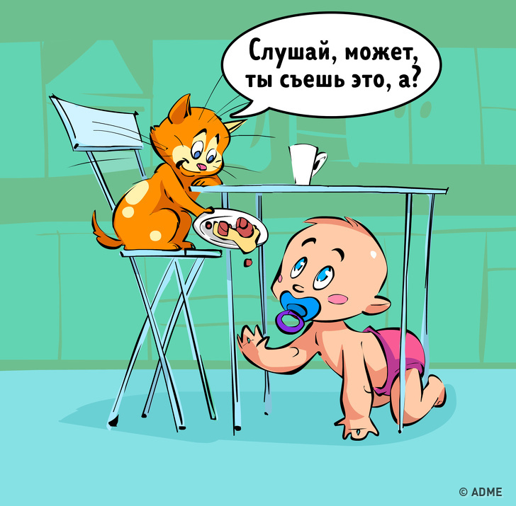 Один день з життя людей і тварин, якщо вони раптом поміняються місцями